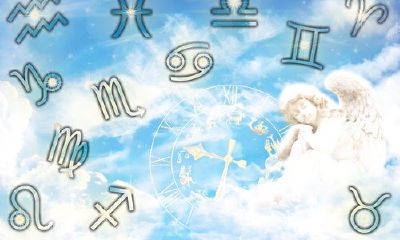 2023天蝎座全年运势男感情(天蝎座男今日运势查询星座屋)