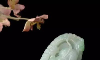 属龙的人带属鸡的玉佩好不(属龙的带有龙的玉佩好不好)