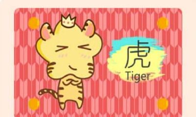 1986属虎的发财数字2023(86年属虎人2023年发财方向)