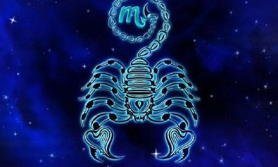 阴历十月是什么星座男(十一月是什么星座)