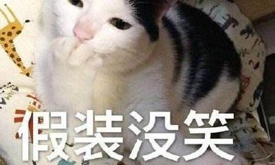 天蝎男会晾着金牛女吗(最容易被金牛女吸引的星座男)