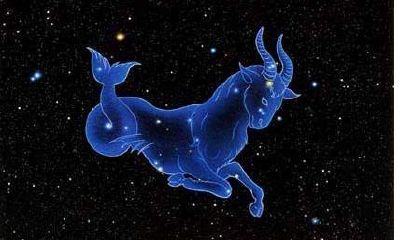 天顶星座摩羯座的女人(上升星座天蝎座女生)