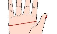 星座密码识人术(最会识人的星座男)