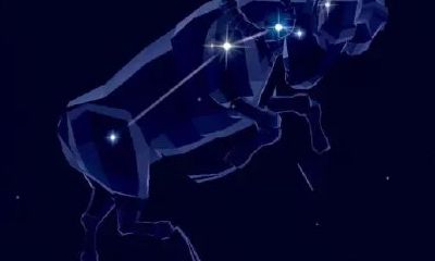 白羊座为什么呢(白羊座的本质是什么)