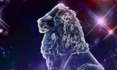 狮子座弱点是什么(狮子座经历太多会变得有心机)