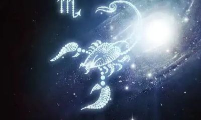 天蝎座和摩羯座哪个更爱吃醋(摩羯座爱情观)