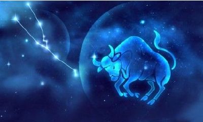 摩羯座的神兽守护神是什么(金牛座的守护神是什么神兽)