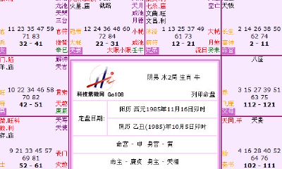紫薇斗数生辰八字免费算(免费算命紫微斗数)