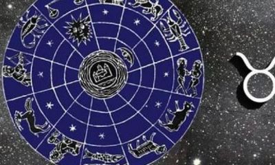 上升星座是白羊的金牛座(白羊上升金牛座女生性格)