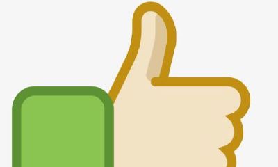 81年属鸡与84年属鼠相配吗(1981属鸡几月命苦)