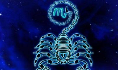 天蝎座和哪个星座最配在一起(天蝎座和摩羯座配吗)