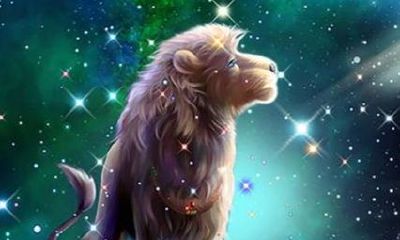 狮子座与各个星座的关系解析表(狮子座和双子座配吗)