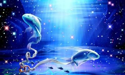 天蝎座男双鱼女(为什么双鱼男都喜欢天蝎女)