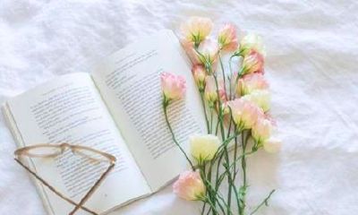 狮子座最容易被什么星座吸引(被狮子座吃定的星座)