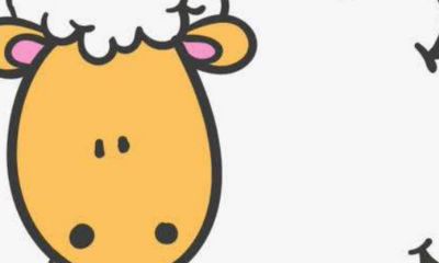 国字头公司起名字(1991属羊的今年多少岁2023年)