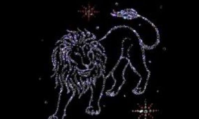 狮子座代表什么样的人(狮子座和天蝎座)