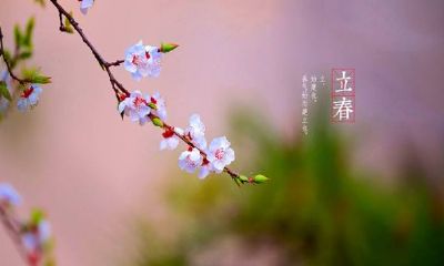 2023立春转运的生肖(属兔32岁转运)