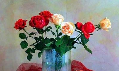 99年属兔有几次婚姻(1999年的兔子姻缘)