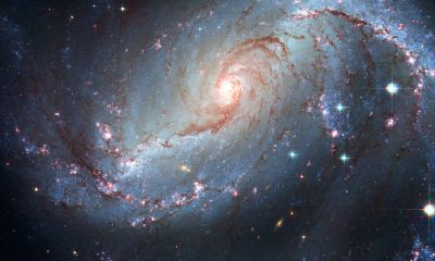 9月上旬什么星座(10月什么星座)