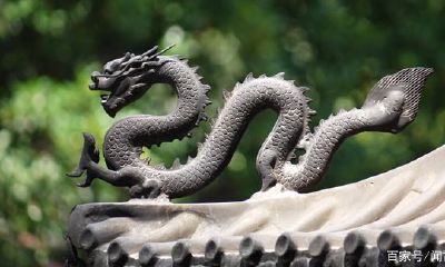 属猪和龙的属相合不合(96年属鼠25岁有一灾)