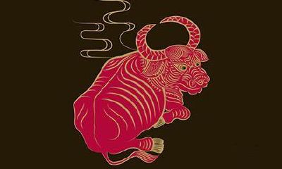 本命年活动策划(本命年怎么算)