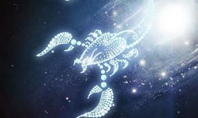 11月9日是什么天蝎座(白羊座是几月几日生的)