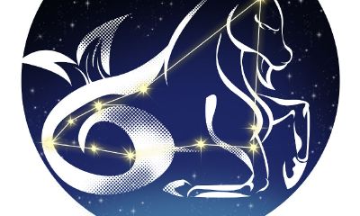 摩羯座人的性格特点分析(摩羯座真正性格)