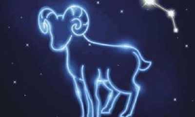 白羊座男自信(白羊座是不是很纠结)