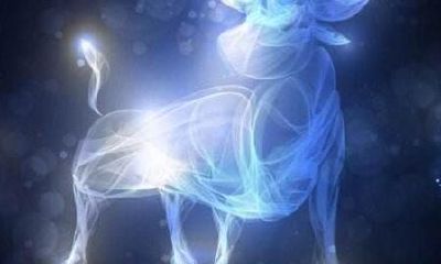 金牛座动心的表现(金牛座真正动心了的三大表现)