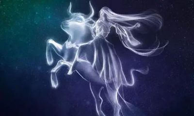 上升的处女座(上升星座有什么意义)