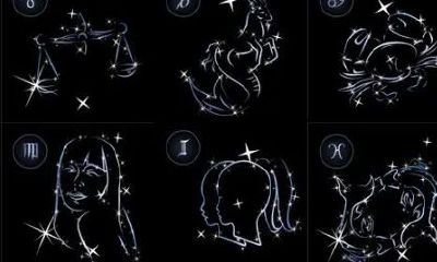 摩羯座魅力怎么提升(摩羯座为什么那么有魅力)