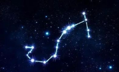 很细心的星座(十二星座谁最聪明)