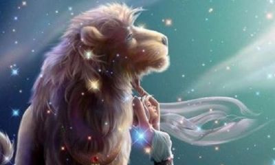 狮子座喜欢比自己优秀的人(为什么都说狮子座女高冷)