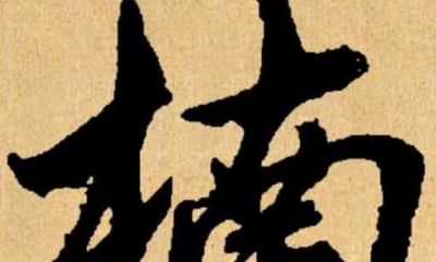 楠字取名的寓意和含义(松字取名的寓意)