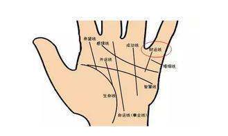 我想知道我的财运(想知道自己的财运如何)