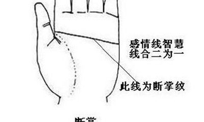 怎么看断掌的手相(历史上双手断掌的男人)