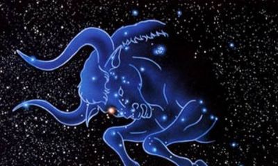 测试金牛座性格的问题(金牛座安全测试)