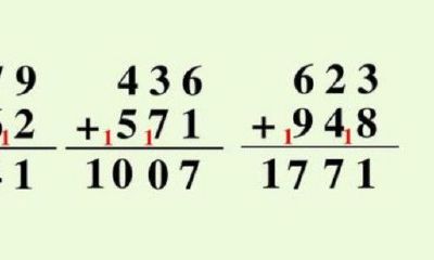 2216数字吉凶(2219数字吉凶)