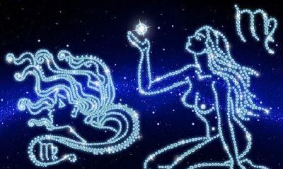 处女座做事情喜欢得到认可(新生婴儿取名字属猪)