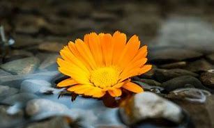 射手座九月份学业运势2023(射手座2023年下半年运势)