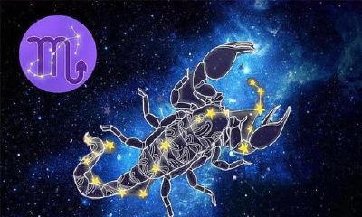 天蝎座心宿二人(金星天蝎是什么时间的)