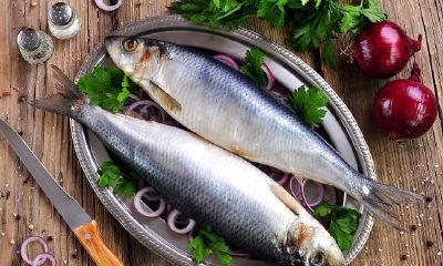 招财鱼为什么叫大青鱼(招财鱼是淡水鱼还是海水鱼)