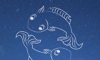 和双鱼座男生网恋(射手座适合网恋吗)