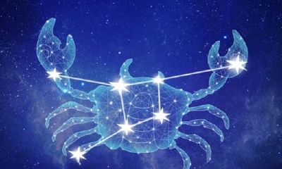 能力出众却很低调的星座(有能力有野心的星座女)