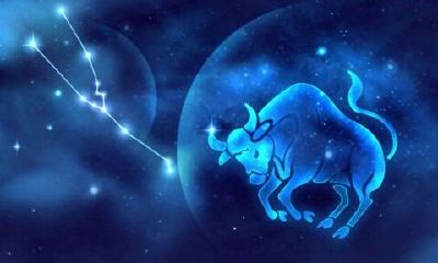 金牛座女会和前任复合吗(金牛女分手后会复合吗)