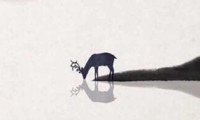 测试你像哪个星座(测试一下我的星座)