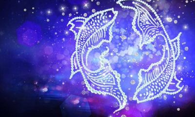 射手座在学校里撒娇如何应付(对射手座男生冷淡他会怎么样)