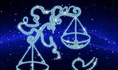 摩羯座男生喜欢微胖(射手座男生性格特点)