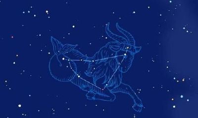 1月11日出生的是什么星座(12星座谁是校花女神排名)