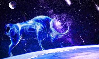 狮子座男性格超准分析(狮子座男生的爱情观)